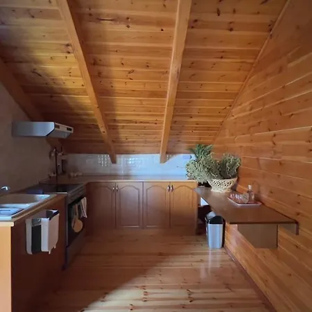 Apartment The Mountain Attic Përmet